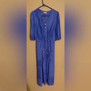Blue Button-Up Dress